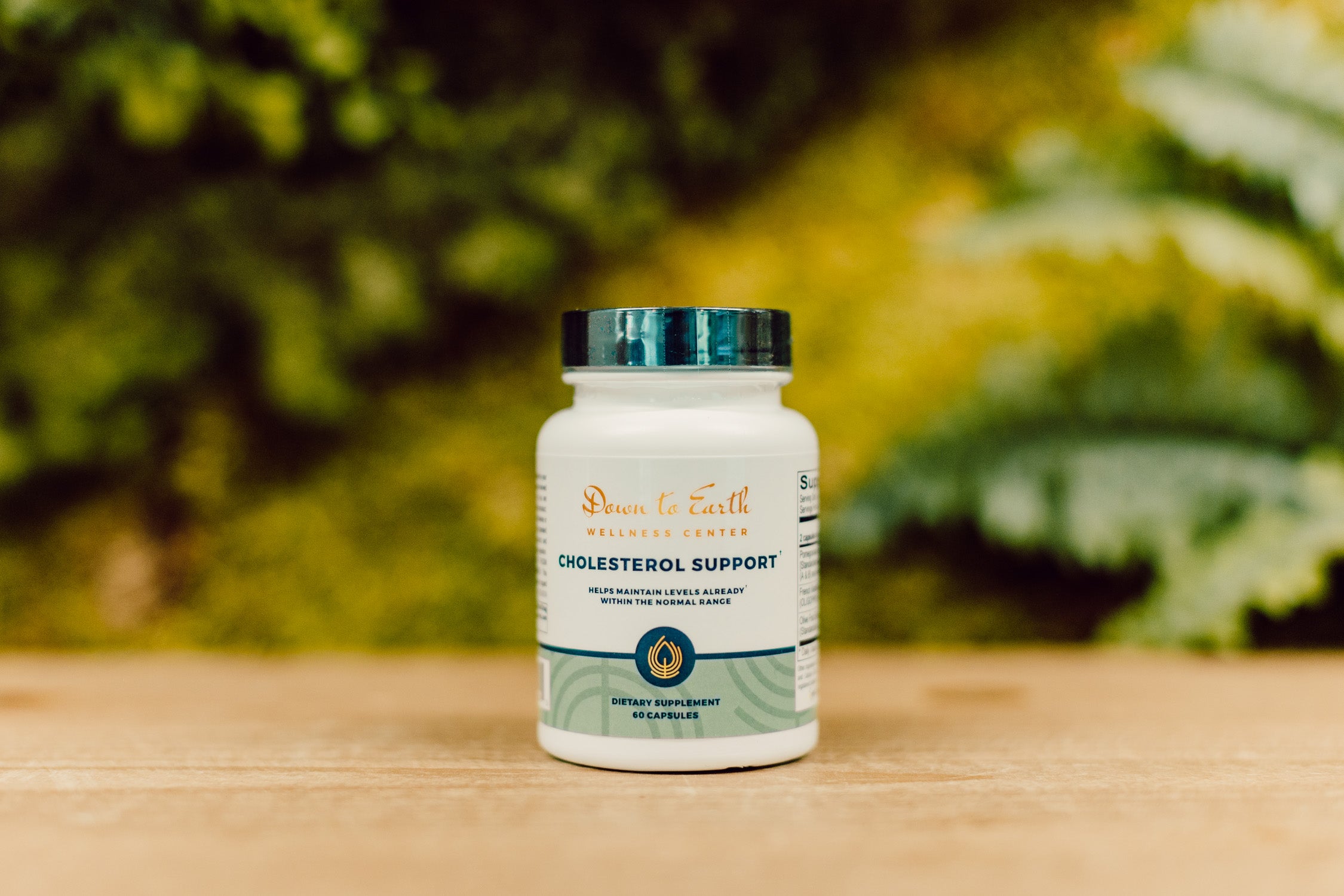 Cholesterol Support