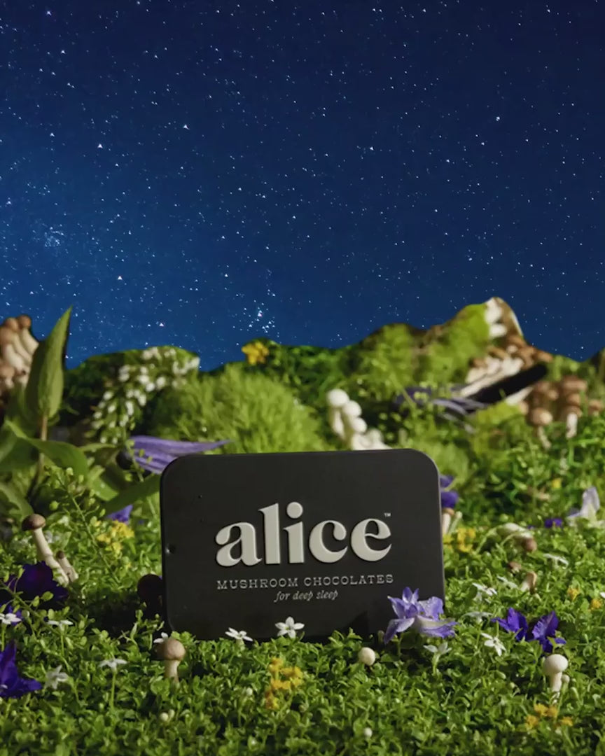 Alice Mushroom Nightcap Chocolate
