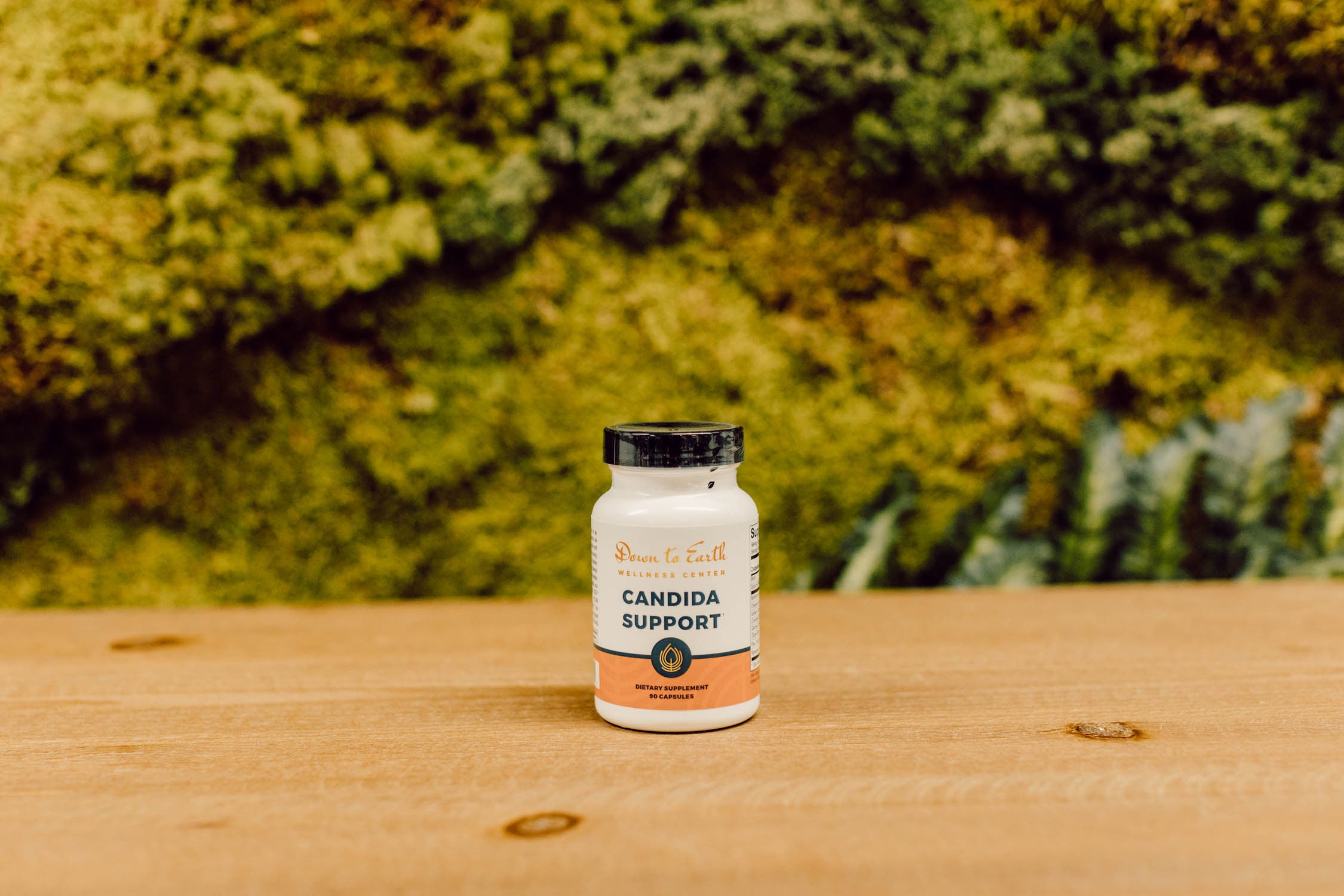 Candida Support