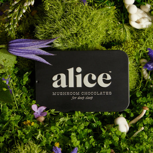 Alice Mushroom Nightcap Chocolate
